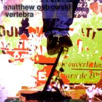 Pogus CD: Matthew Ostrowski's Vertebra